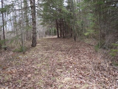 Cherryfield #6 -- IMG_1506