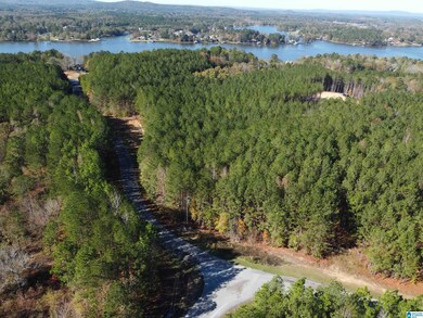 Lot 221 Shore Side Ln, Sylacauga, AL 35151 - photo 4