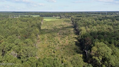 2835 Pikeville-Princeton Rd, Pikeville, NC 27863 - photo 2