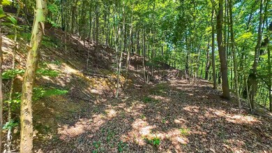 6133 Poor Mountain Rd, Salem, VA 24153 - photo 7