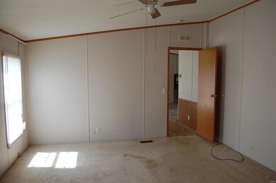 144 Pebble Creek Dr, Harviell, MO 63945 - photo 7