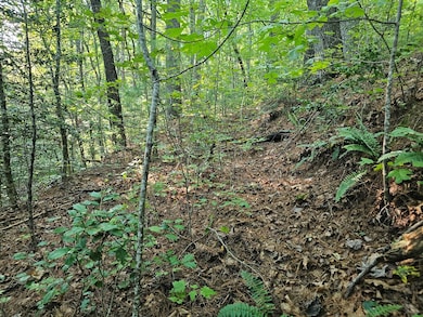 0 Bates Dr unit 418359, Ellijay, GA 30540 - photo 6