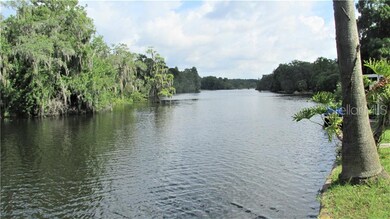 Another View of the River