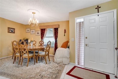 6704 Rosemary Dr, Tampa, FL 33625 - photo 7