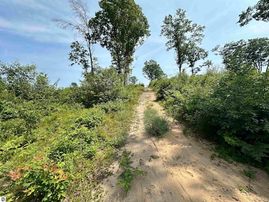 TBD Meredith Grade Rd, Harrison, MI 48625 - photo 5