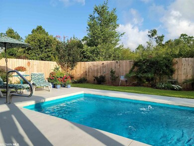 Paradise 23x12 pool, lighting/landscaping backyard