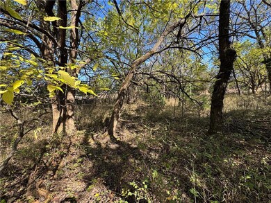 On the left of the two lots showing the thin tree coverage and the