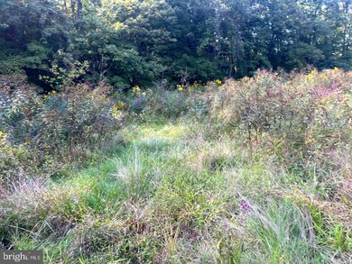 0 Jc Markwood Rd unit WVHD2001136, Old Fields, WV 26845 - photo 6