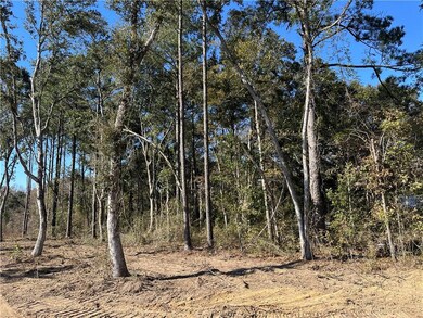 0 Creel Rd unit 7513997, Theodore, AL 36582 - photo 7