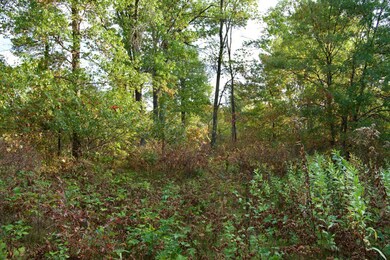 21.8 Acres Minnesota 371, Brainerd, MN 56401 - photo 4