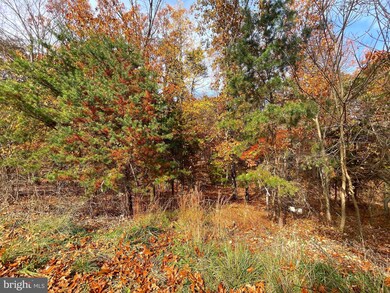 10 Silage Ln, Berkeley Springs, WV 25411 - photo 2