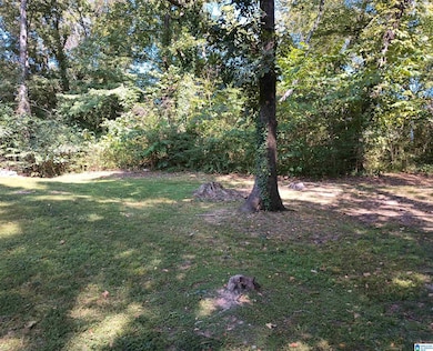 3105 3rd St NE, Center Point, AL 35215 - photo 4