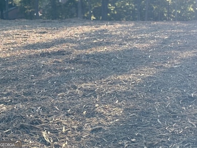 3980 Highway 5, Douglasville, GA 30135 - photo 4