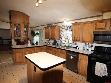 1130 Denver Ave, Saguache, CO 81149 - photo 5