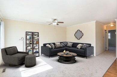 506 Waco Ln, Carpentersville, IL 60110 - photo 3