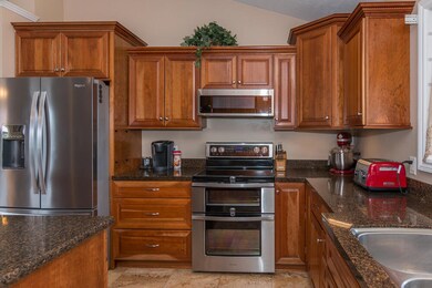 24505Palm-47