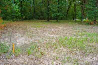 75 N Forest Dr, Huntsville, TX 77340 - photo 3