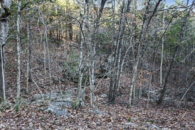 277 Whippoorwill Hollow Trail, Kimberling City, MO 65686 - photo 6