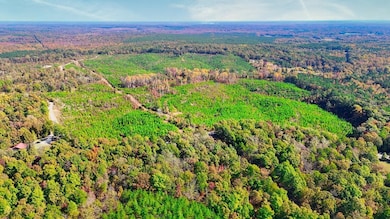 Bird's eye view with a wooded view