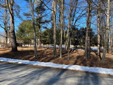 IMG_0019