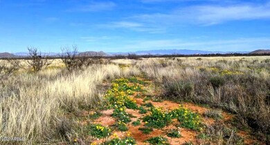 2.52 ACRE on Downing (5)