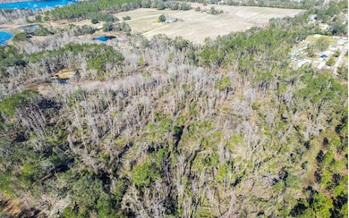 0 SW Andover Way, Madison, FL 32340 - photo 5