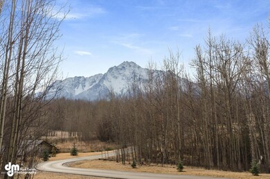 2985 S Lakeshore Loop Palmer-large-031-3