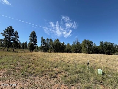 2221 W Edgewater unit Lot 57, Show Low, AZ 85901 - photo 2