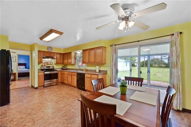 40282 Biggs Rd, Lagrange, OH 44050 - photo 3