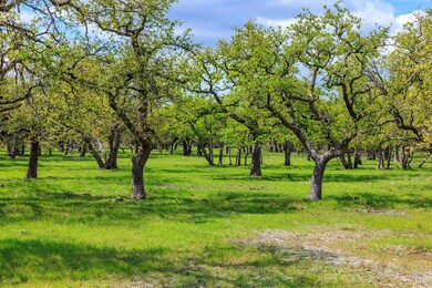 Lot 7 Kopper Kettle Ln unit 7, Fredericksburg, TX 78624 - photo 5