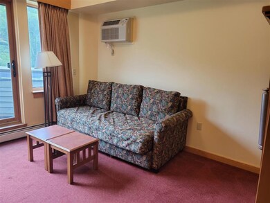 90 Loon Mountain Rd unit 1150B, Lincoln, NH 03251 - photo 7