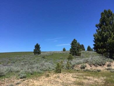 Looking Up Hill