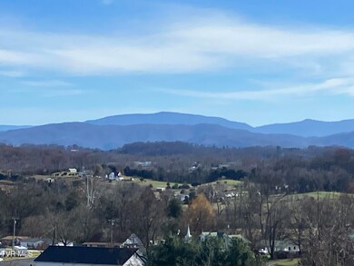 Tbd Methodist Ridge Rd, Telford, TN 37690 - photo 6