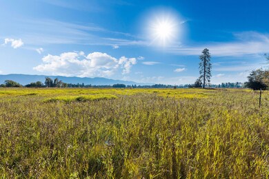 Nhn (Tract 3) Dairy Farm Ct, Kalispell, MT 59901 - photo 7