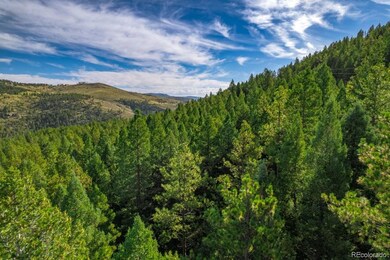 360 Hi Meadow Dr unit 21, Bailey, CO 80421 - photo 2