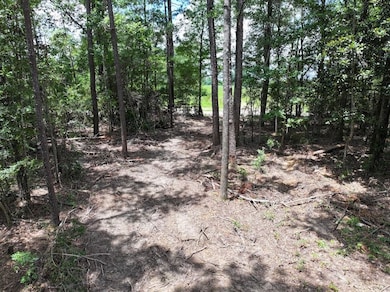 La Hwy 1058 unit LotWP001, Kentwood, LA 70444 - photo 4