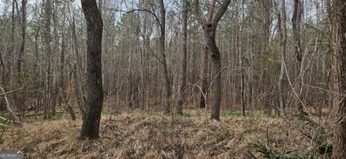 0 Georgia 220 unit TRACT B 10468309, Lincolnton, GA 30817 - photo 3