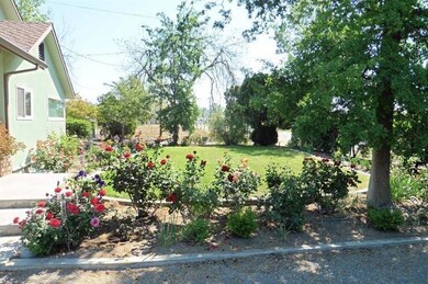 Mature Trees:2 navels,valencia, Mellogol