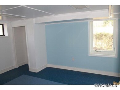 Bonus Room in Basement