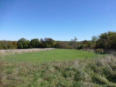 Food Plot