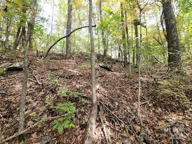 99999 N Pointe Dr unit 3, Zirconia, NC 28790 - photo 4