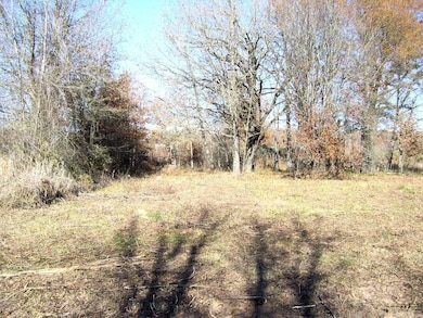 682 U S Highway 71, Ashdown, AR 71822 - photo 3