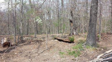 65300 Blackhawk Ridge Rd, Proctor, OK 74464 - photo 3