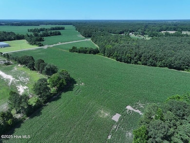 DJI_20250604162836_0543_D