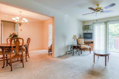 66+Whitefield+Ave+Ocean+Grove-6-WebQuali