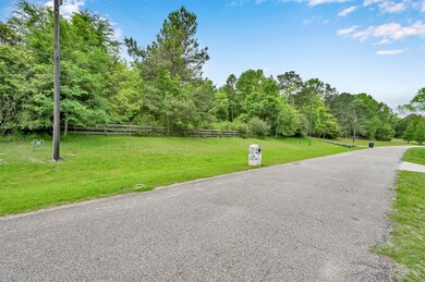 6715 W Bluff Dr, Magnolia, TX 77354 - photo 6