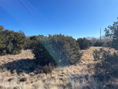 74 Dawn Ln, Concho, AZ 85924 - photo 3