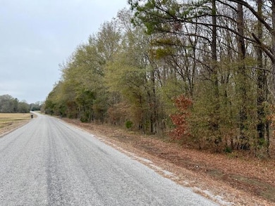 12 Acres Reed Rd, Starkville, MS 39759 - photo 3