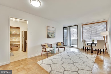 Tiber Island unit N-100, Washington, DC 20024 - photo 5