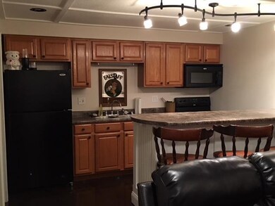 Wet Bar/Kitchen in Fully finished basement